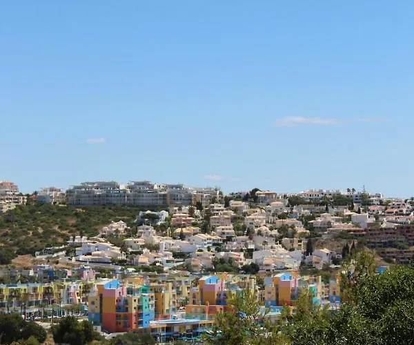 Sunny 알부페이라